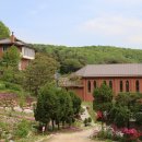 수원-1791 이미지