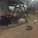 용선