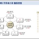 재실천 네이버블로그
