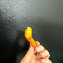 21세기주유소 | 맥도날드 시즌메뉴 고구마후라이 솔직후기