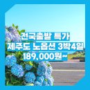 광주동양여행사 | [특가] 대구/부산/서울_제주도_3박4일 #관광패키지 #노옵션 #석조 / 제주도 3박4일 패키지 여행