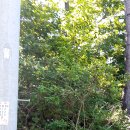 태안휴게소 이미지