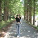달우물농장 | 안성 카페 가볼만한곳 추천 풍사니랑 (풍산개마을 &amp; 풍산개농장) 애견동반 가능, 아이와 가기 좋음!