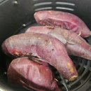 펫어스 | 강아지 생고구마 먹었을 때 증상과 실제 먹은 후기 및 급여량