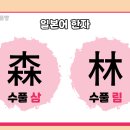수풀삼 이미지