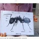 민들레샘물 지역아동센터 네이버블로그