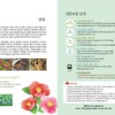 한라산둘레길안내센터 이미지