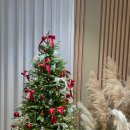 미르365한의원 이미지