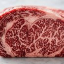 진범 농장 이미지