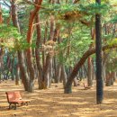국보환경산업(주) 이미지