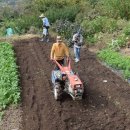 손자농장 이미지