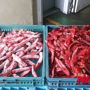 부산세관 이미지