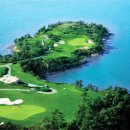 파인스크린골프 이미지