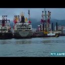 영화 ‘한산: 용의 출현’ 감동 100배 높이기…임진년 한산대첩 탐구 이미지