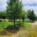 상석목장 이미지