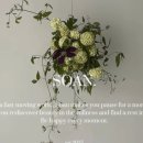 플라워아카이브 - 서초구 강남대로 305 | 플라워아카이브