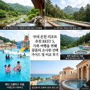 자연건강힐링에코스토어 | 국내 온천 리조트 추천 BEST 5, 가족 여행을 위해 꼼꼼히 조사한 선택 가이드 및 비교 후기
