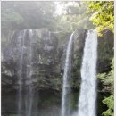 천지연폭포 이미지