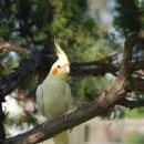 평안한의원 이미지