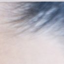 동한의원 이미지