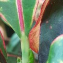 대서환경(주) 이미지