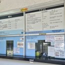 제주 무태장어 서식지 | [제주도 여행 - 제주 여행 시 필수 관광 코스! 무태장어 서식지인 천연기념물 원조 폭포 맛집 천지연 폭포]