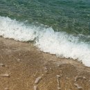 세븐일레븐 강릉송정로점 | 노마드인강릉 최대 주주인 사람이 알려주는 FAQ