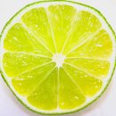 라임 이미지