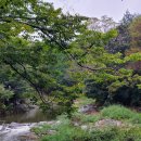 대광정비 | 충주 공주 단풍여행 마곡사 맛집 카페 뚜벅이여행 가는방법