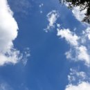 메디프랜 | 아내 위해 만든 까만색 치약 / 메디프랜 천연치약