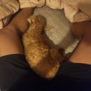 하늘약국 | 하늘수한약국(내돈내산)한약 다이어트 두 달 후기+ 일상