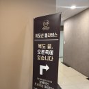운중동 필라테스 2:1 수업 후기 이모션필라테스