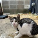 다가섬펜션 이미지