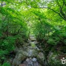 영주 비로사 석조아미타여래좌상 이미지