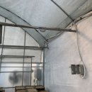 날개농장 이미지