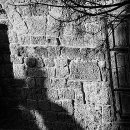 나무아래집 이미지