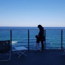 씨마크호텔 이미지