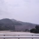 주왕산 한우농장 네이버블로그