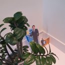 논현서울안과의원 이미지