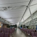 131 | 티웨이항공(TW131) 후기, 비엔티안 공항 유심, 환전