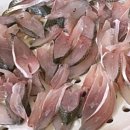 용궁회식당