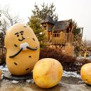 굿마트춘천점 | 춘천 가볼만한 곳 드라이브코스 실내 볼거리 춘천 감자밭 포장 후기