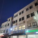 야자 | 잠실 식물샵 [소만] 테이블야자 분양 후기