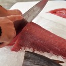 (주)수참치 이미지