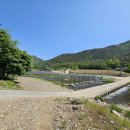 회석농장 이미지