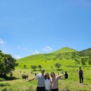 세븐일레븐 청주코아루점 | 후쿠오카 유후인 버스투어 예약 코스 소요시간 후기