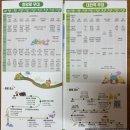 시민슈퍼 | [2025 대전 0시축제] 공연 무대 실제시야, 퍼레이드 명당 추천, 중앙로 공연 라인업, 공연 일정-3편