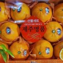 당도청과