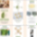 삼성라디칼무역상사 | [활동] 2025 대학생 겨울 무역캠프(서울)_한국무역협회
