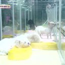 서명농장 이미지